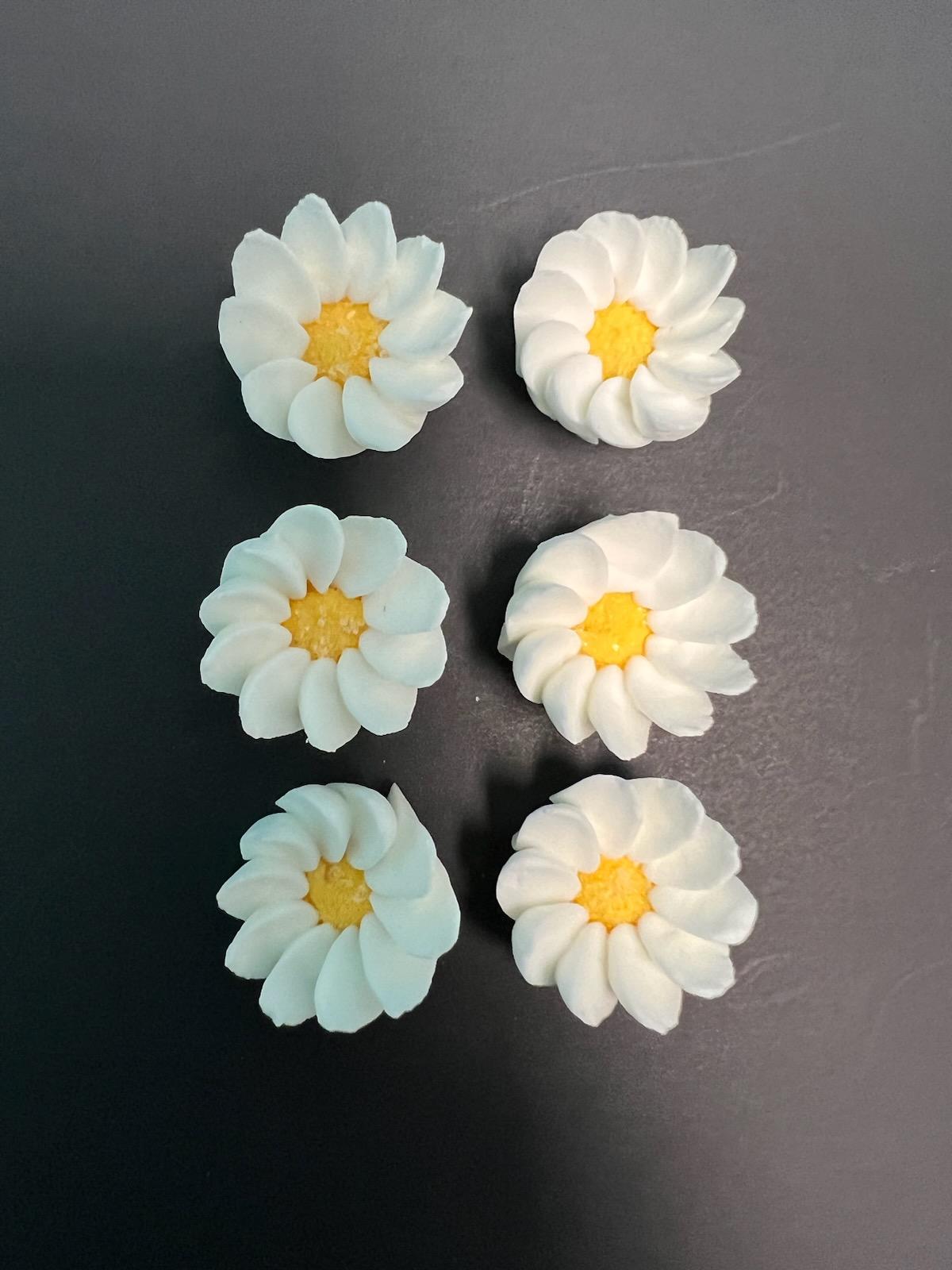 Daisy Decos