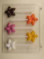 Flower Chocolate Molds