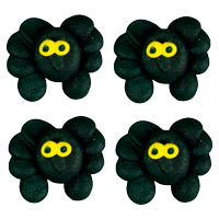 Spiders -Yellow Eyes
